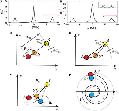 Spectral Phasor Analysis for Brillouin Microspectroscopy